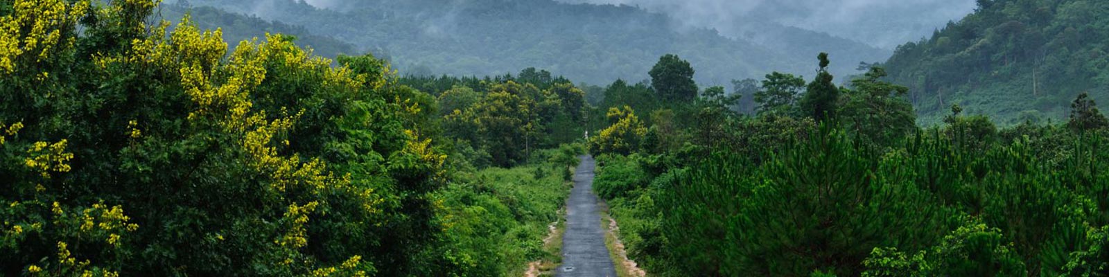 Southern Vietnam 